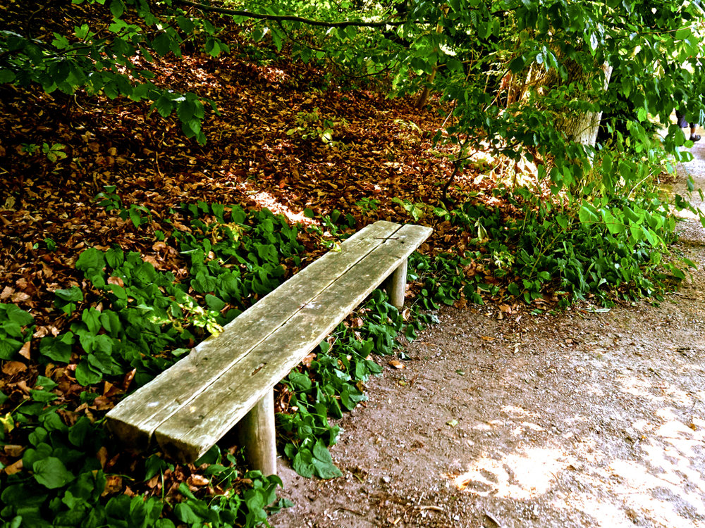 Empty bench, dead leaves